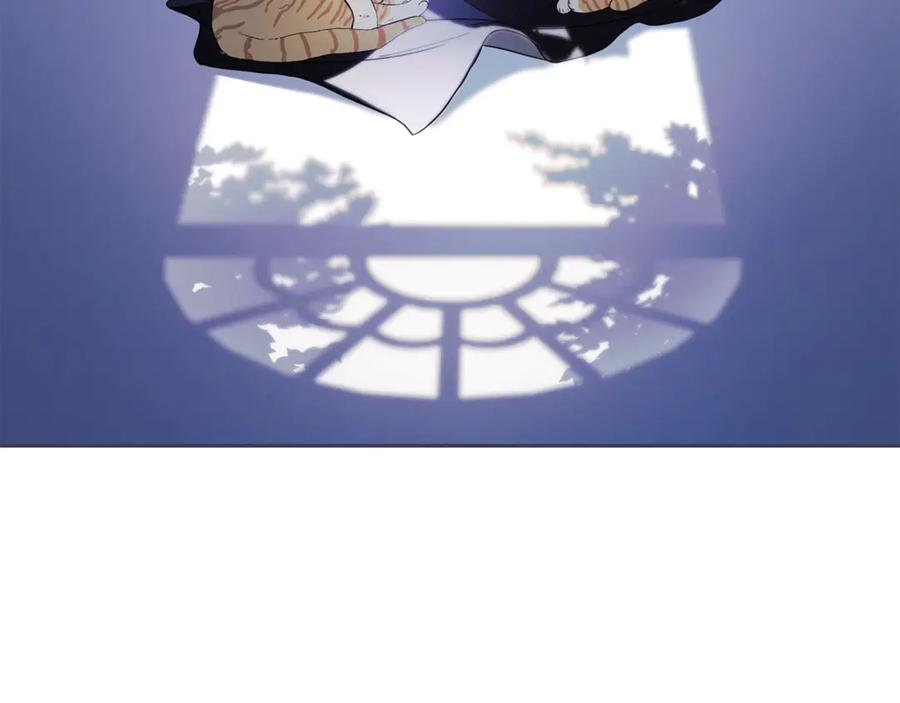 第238页