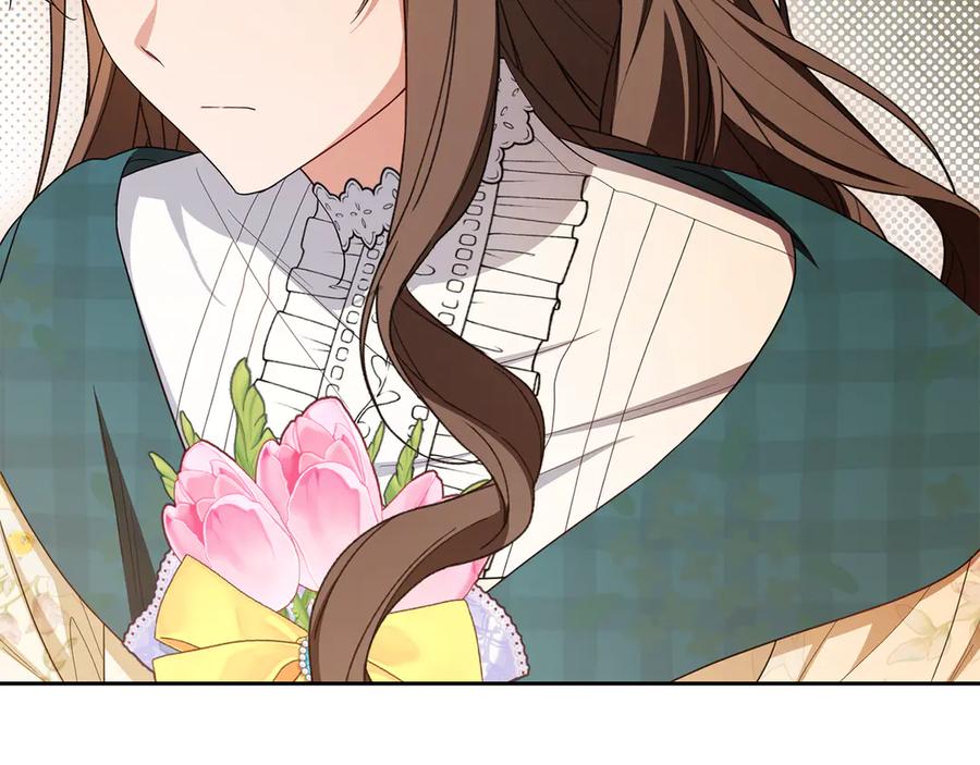 第223页
