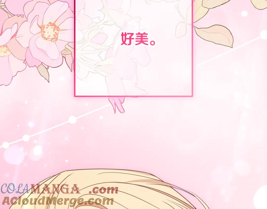 第217页