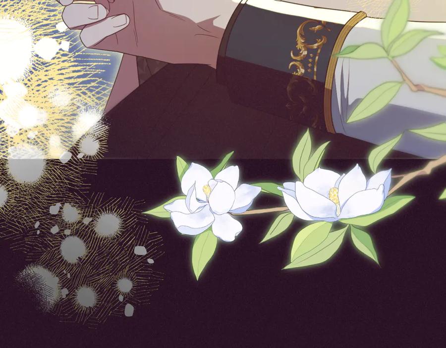 第231页