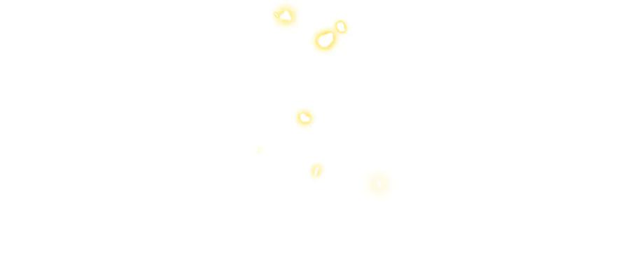 第262页