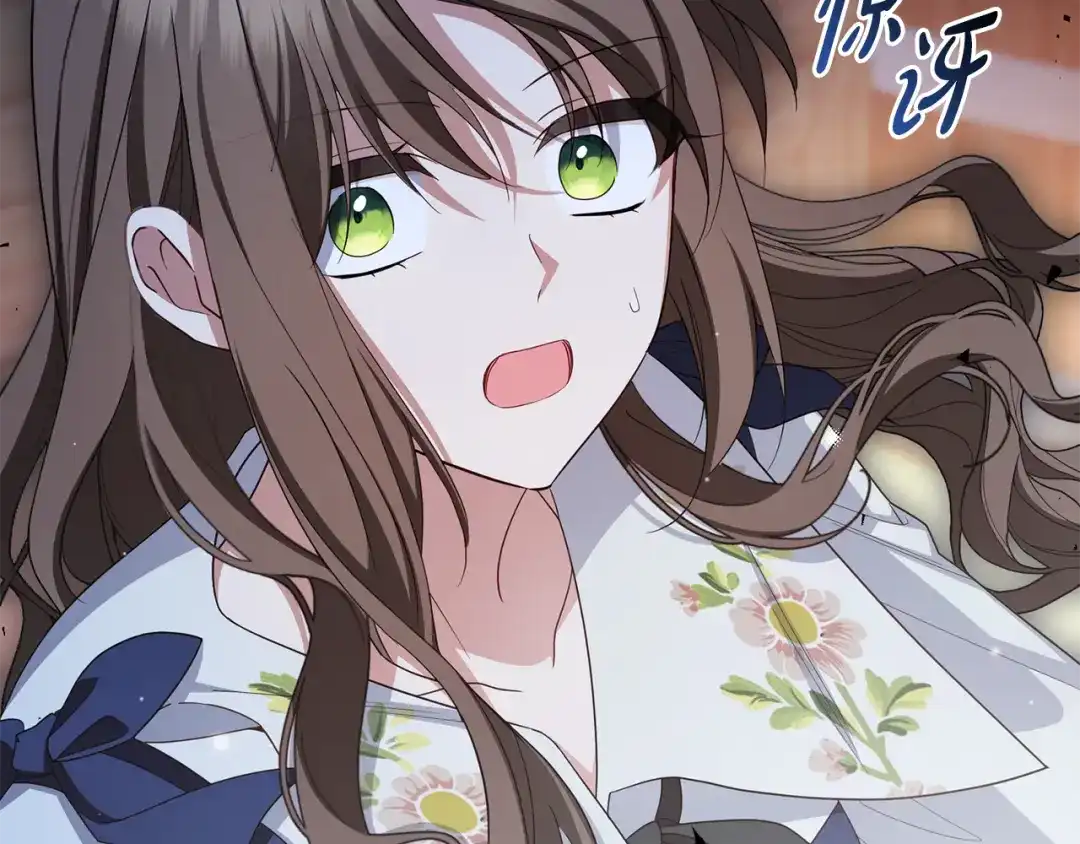 第204页