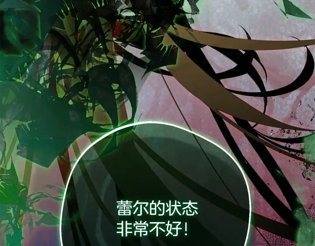 第223页
