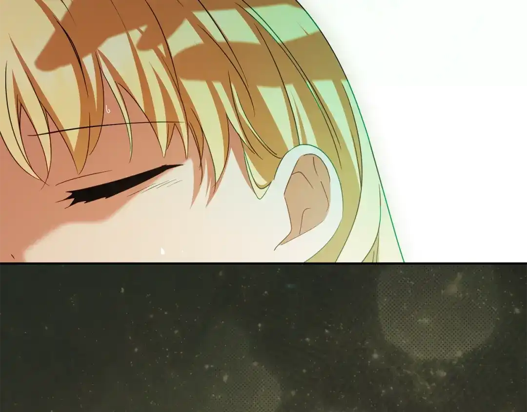 第233页