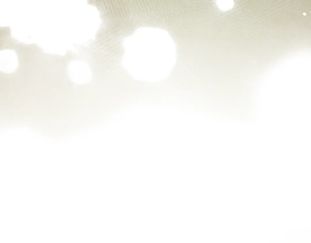 第241页