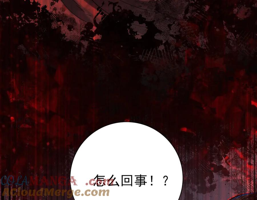 第217页