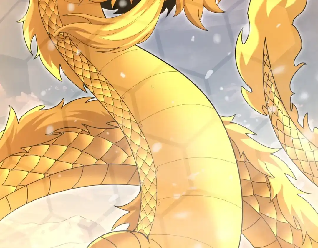 第351页