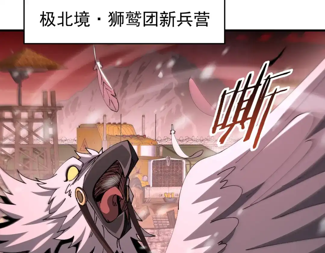 第223页