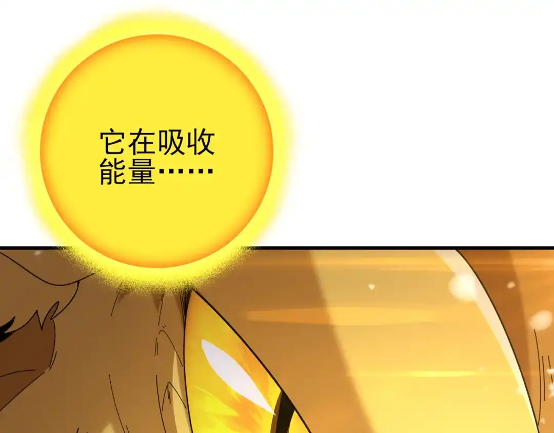 第211页