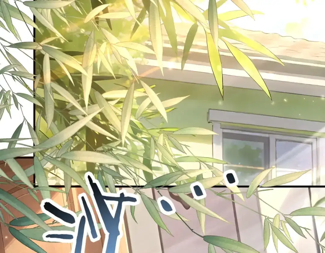 第482页
