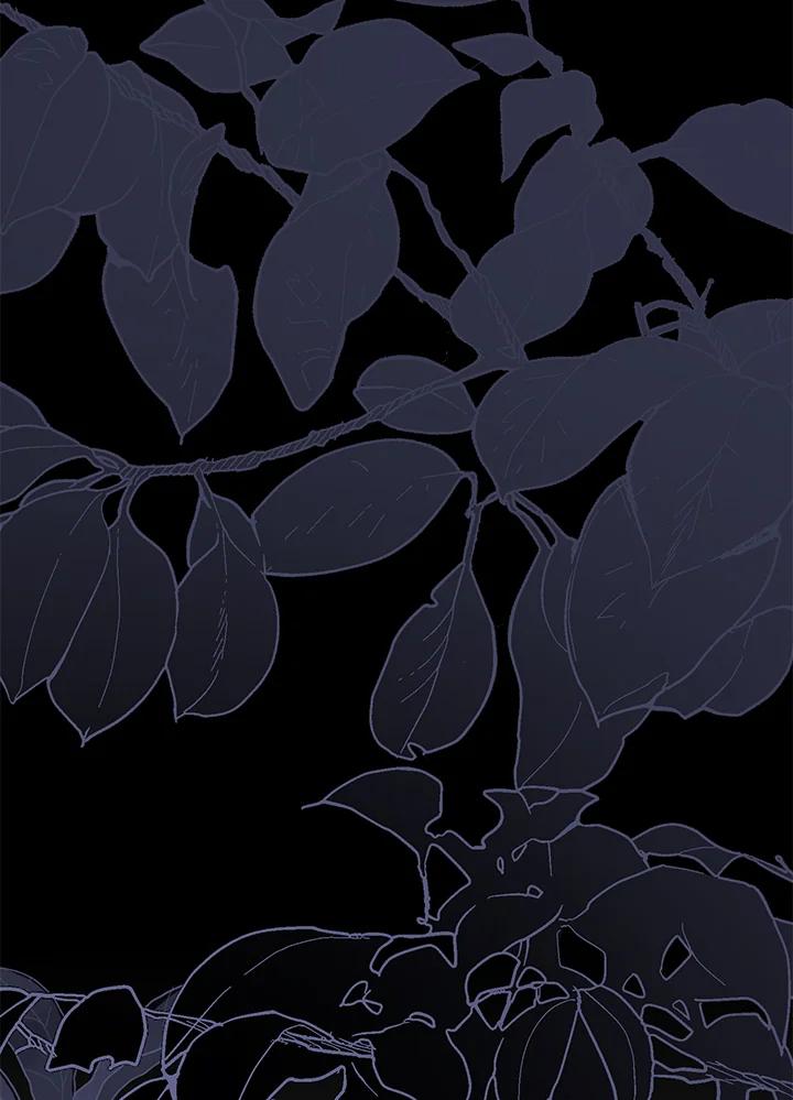 第568页