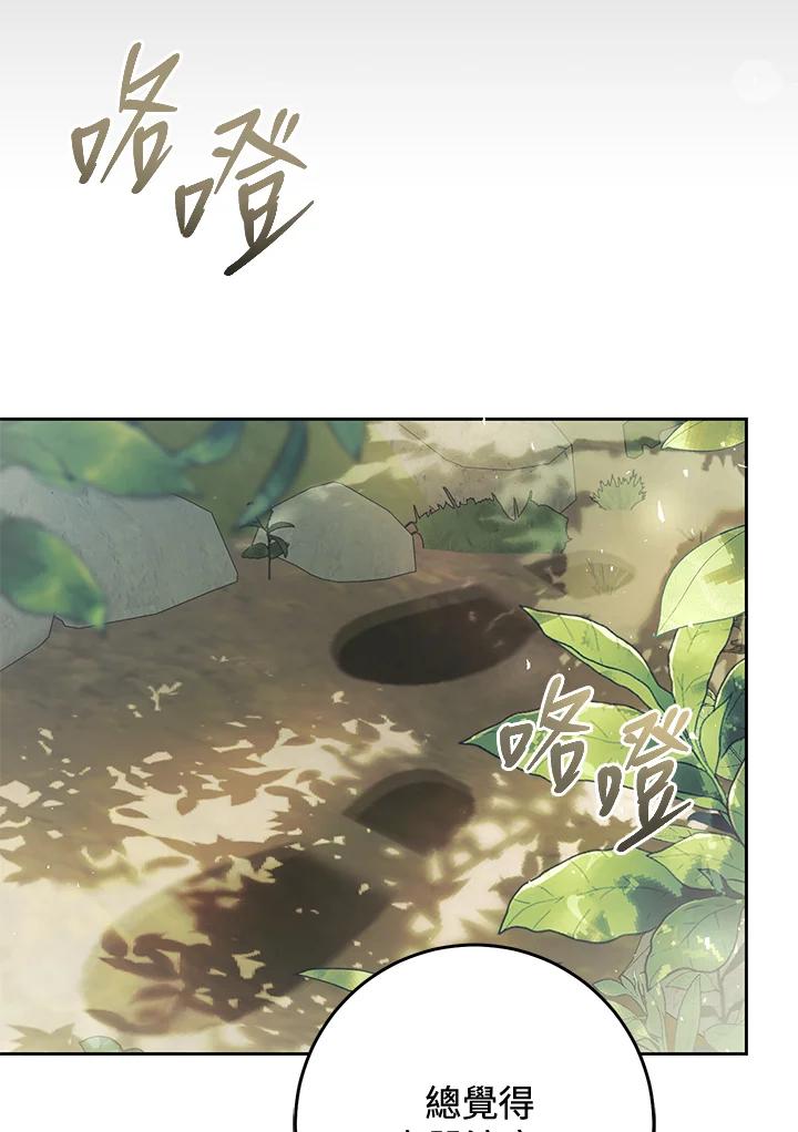 第216页