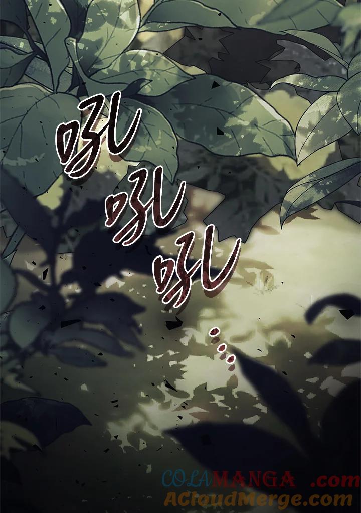 第244页
