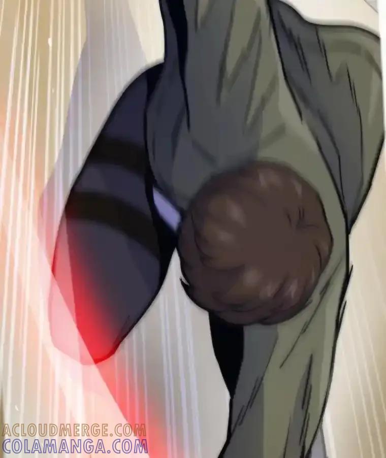 第231页