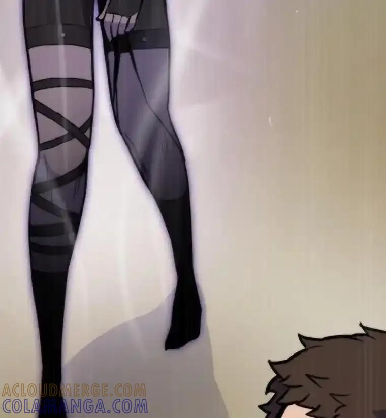 第255页