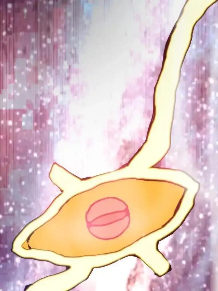 第535页