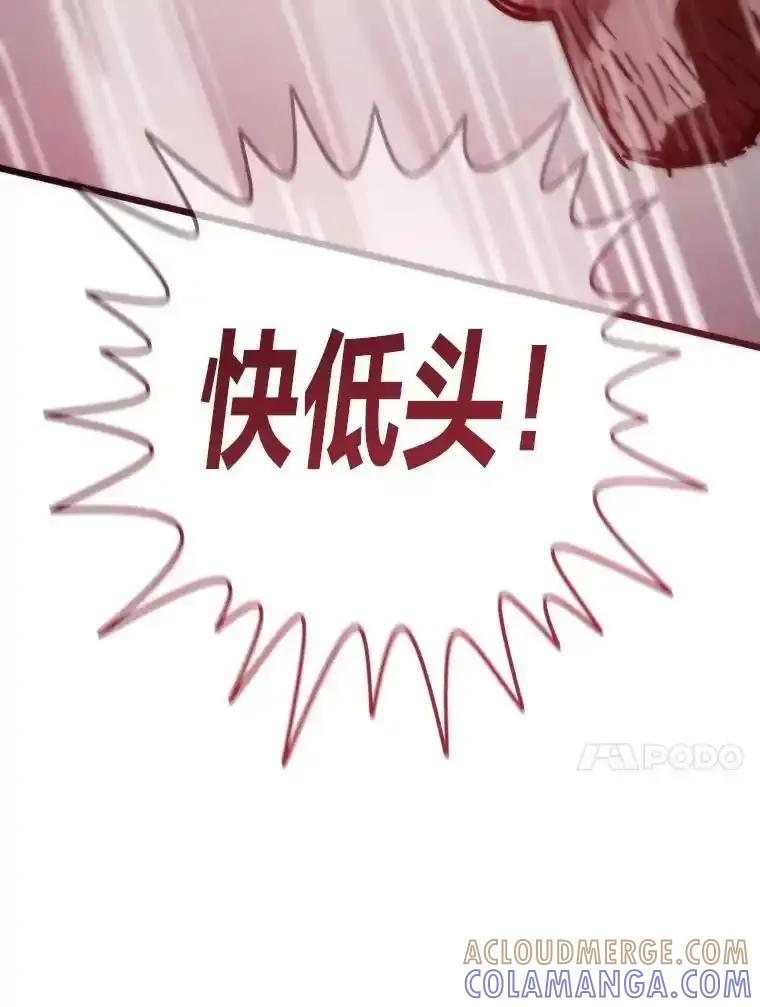 第241页