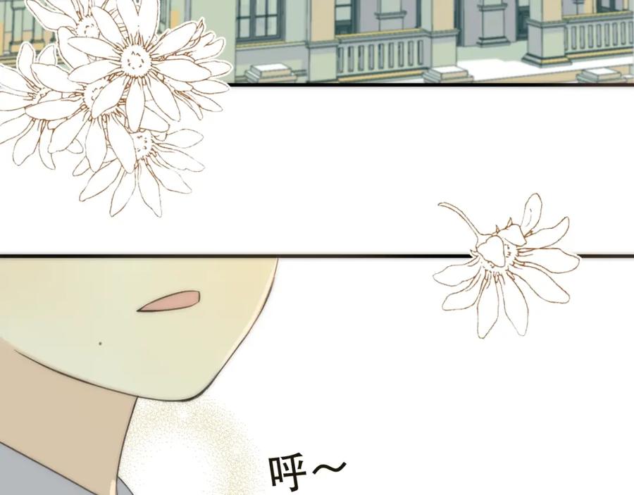 第250页