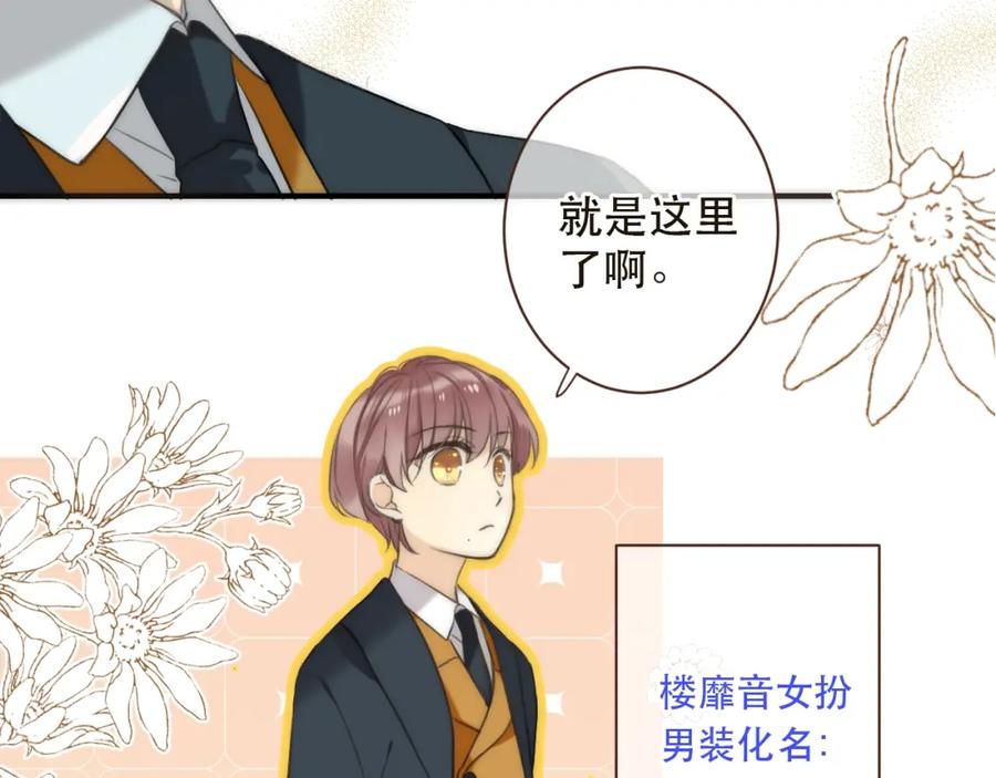 第251页