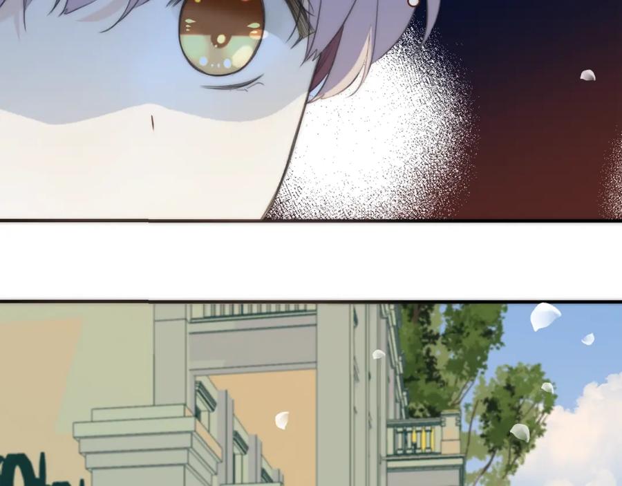 第260页