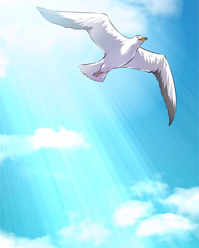 第207页