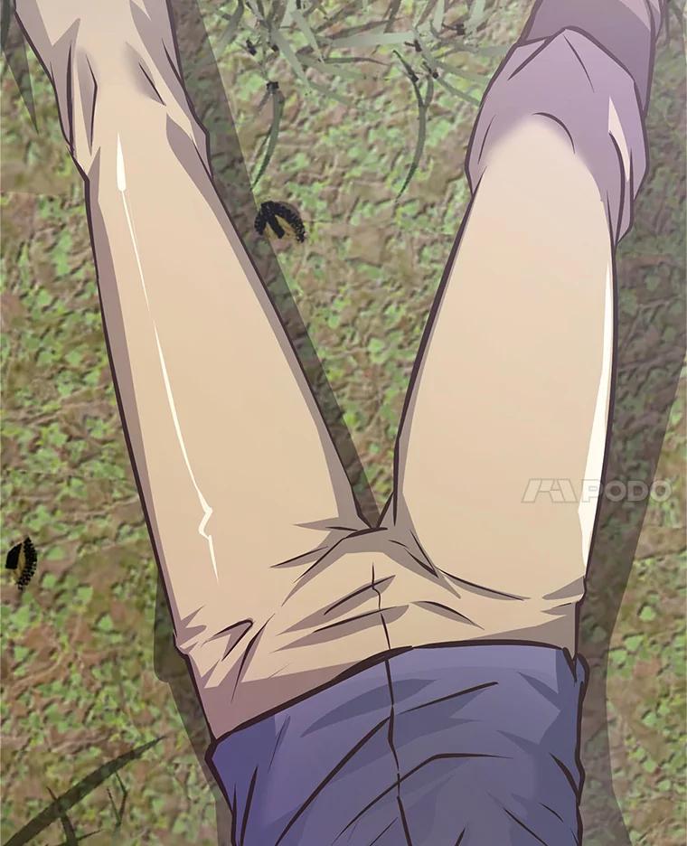 第204页