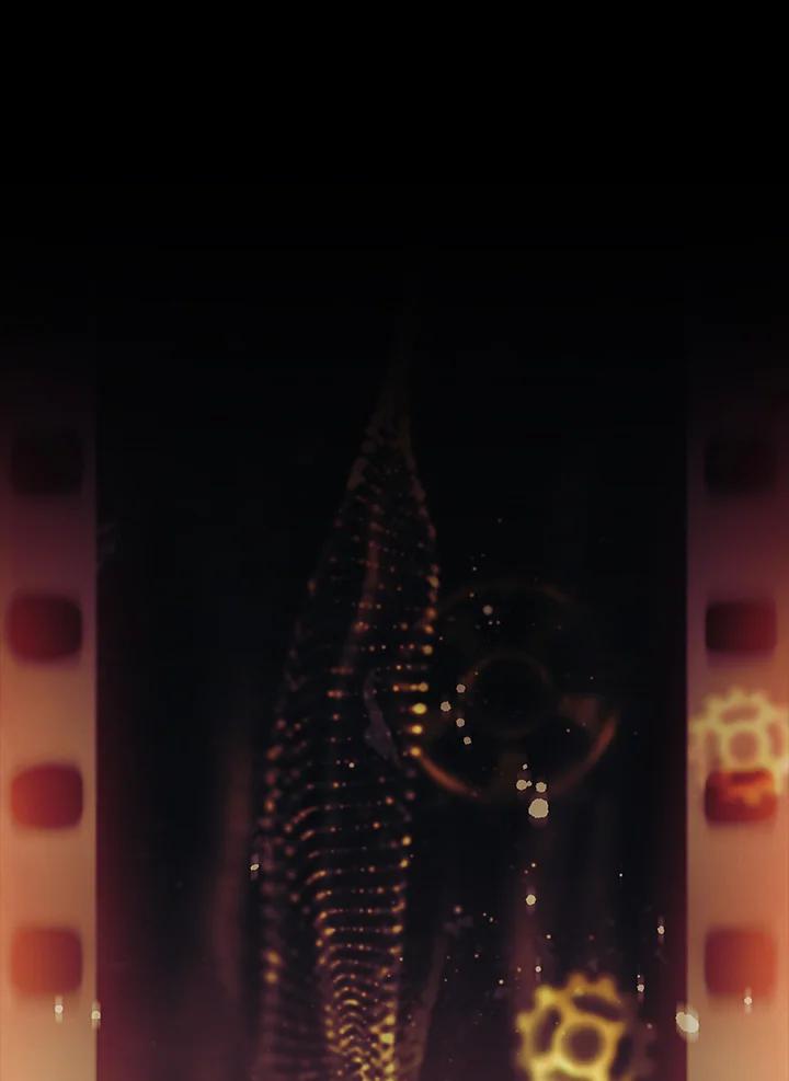 第186页