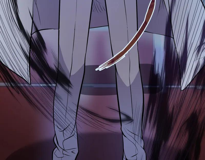 第178页