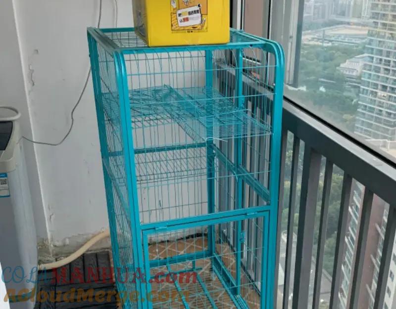 第145页
