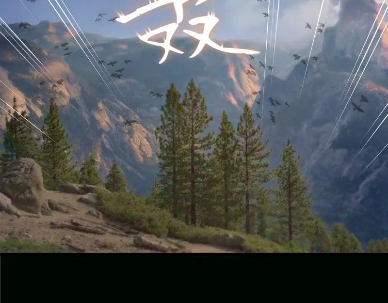 第195页