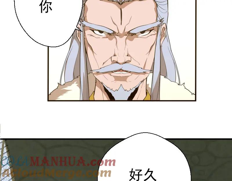 第229页