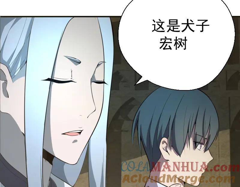 第233页