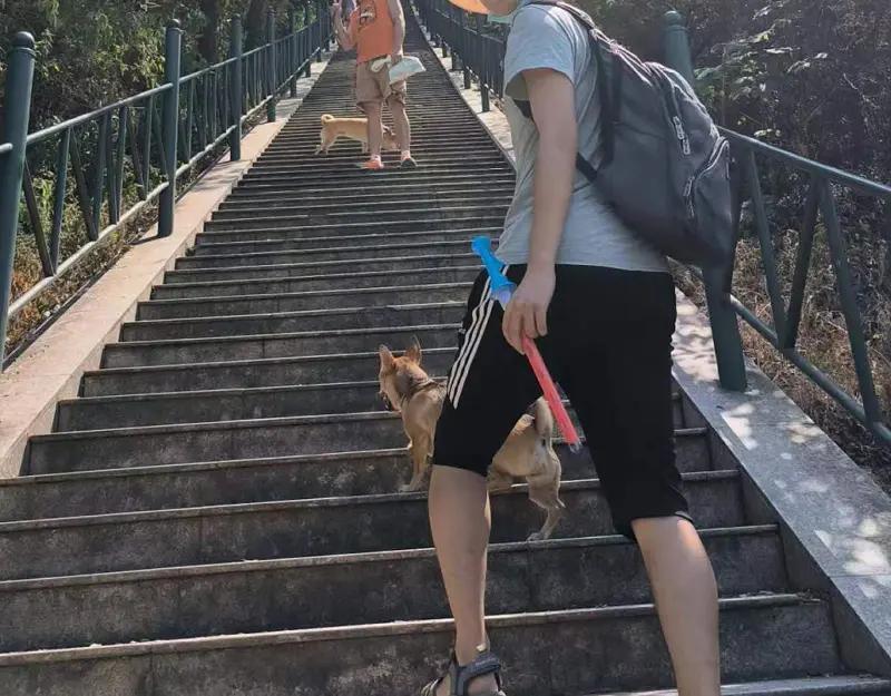 第138页