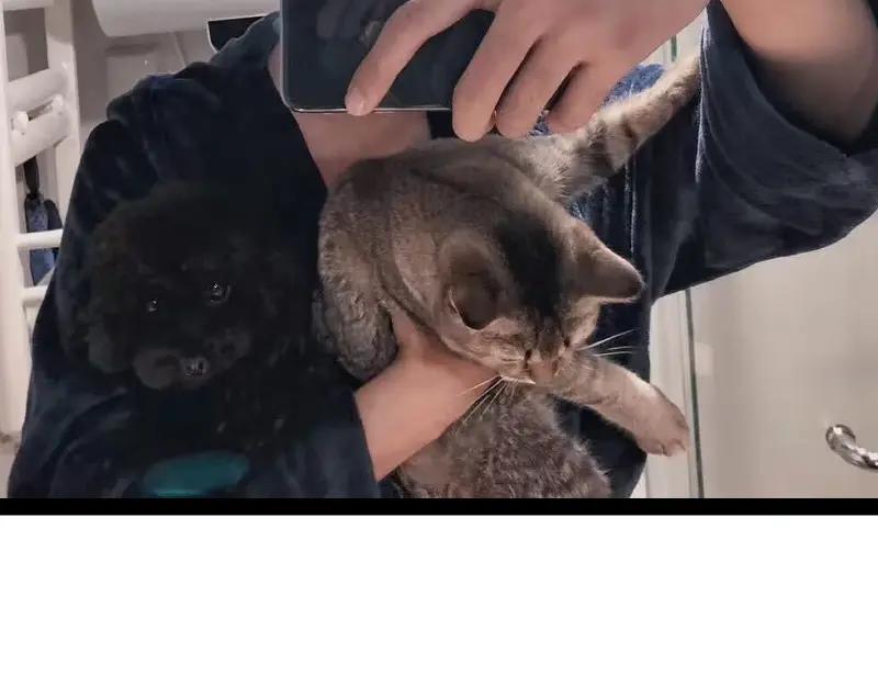 第155页