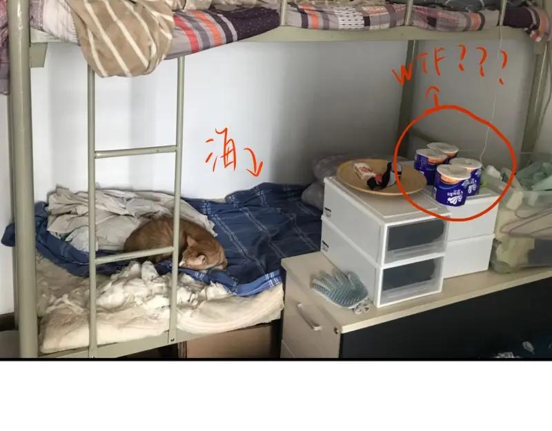 第224页