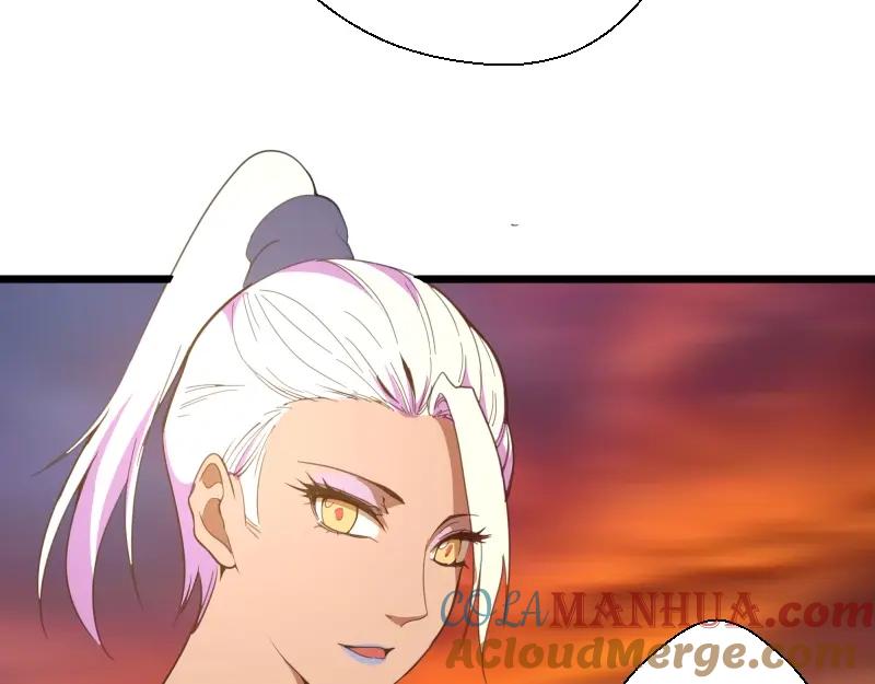 第205页