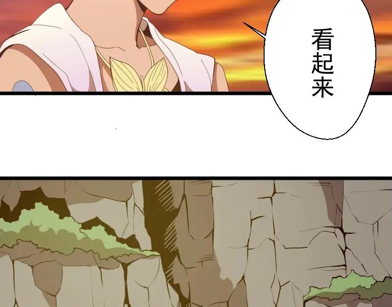 第206页