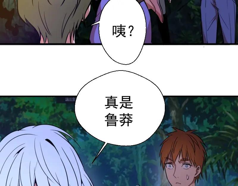 第204页