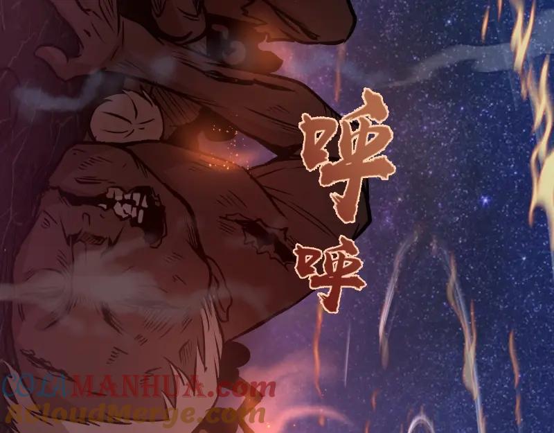 第213页