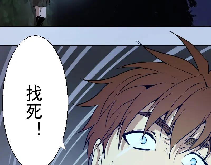 第205页