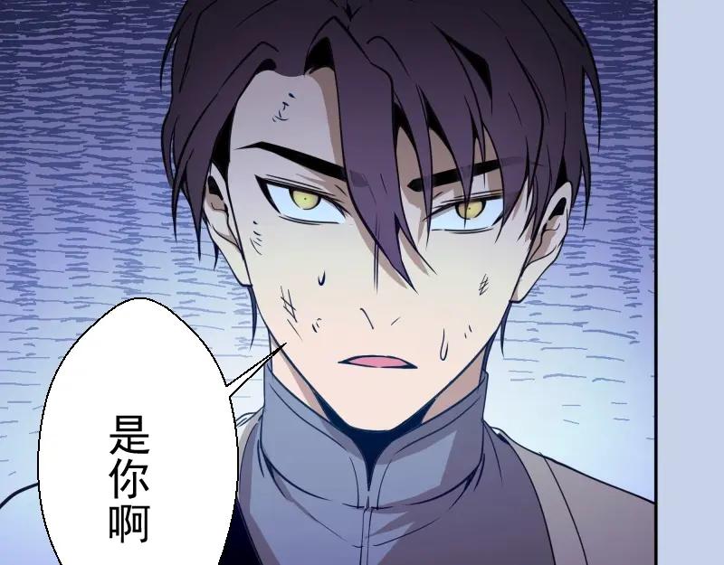 第215页