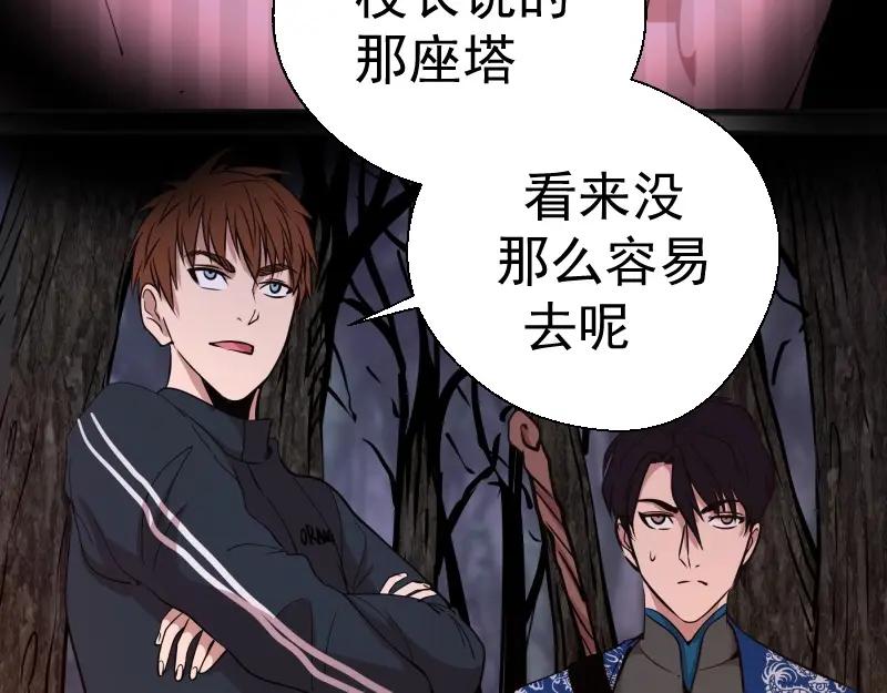第215页
