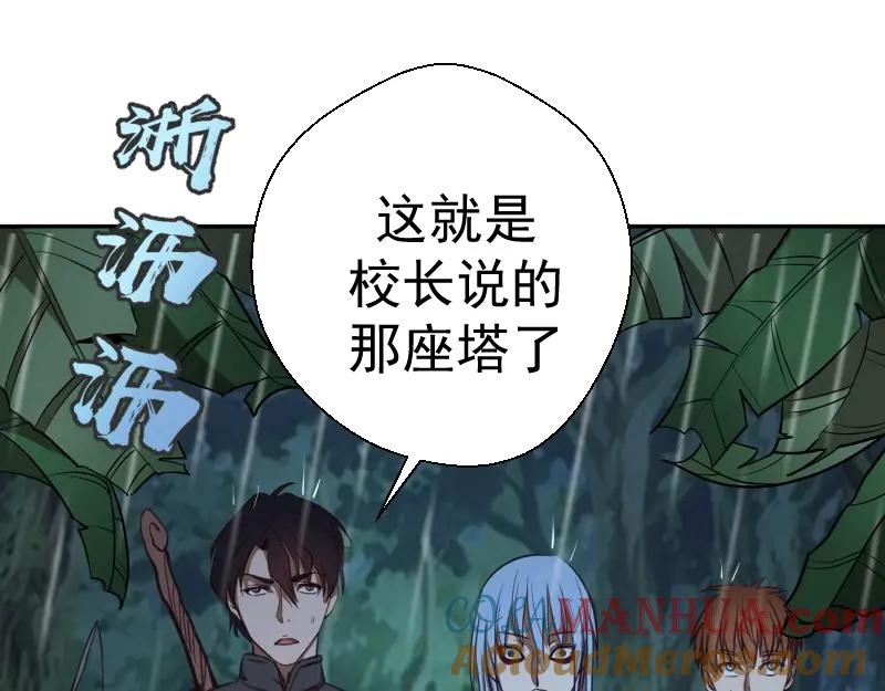 第197页