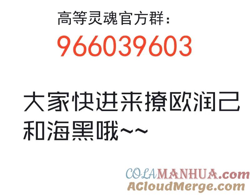 第221页