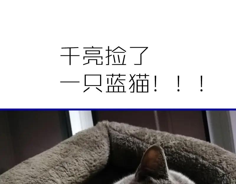第240页