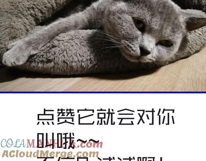 第241页