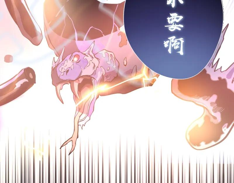 第215页