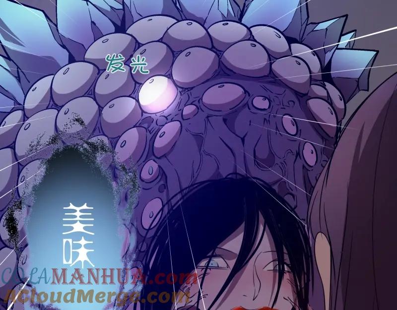 第240页