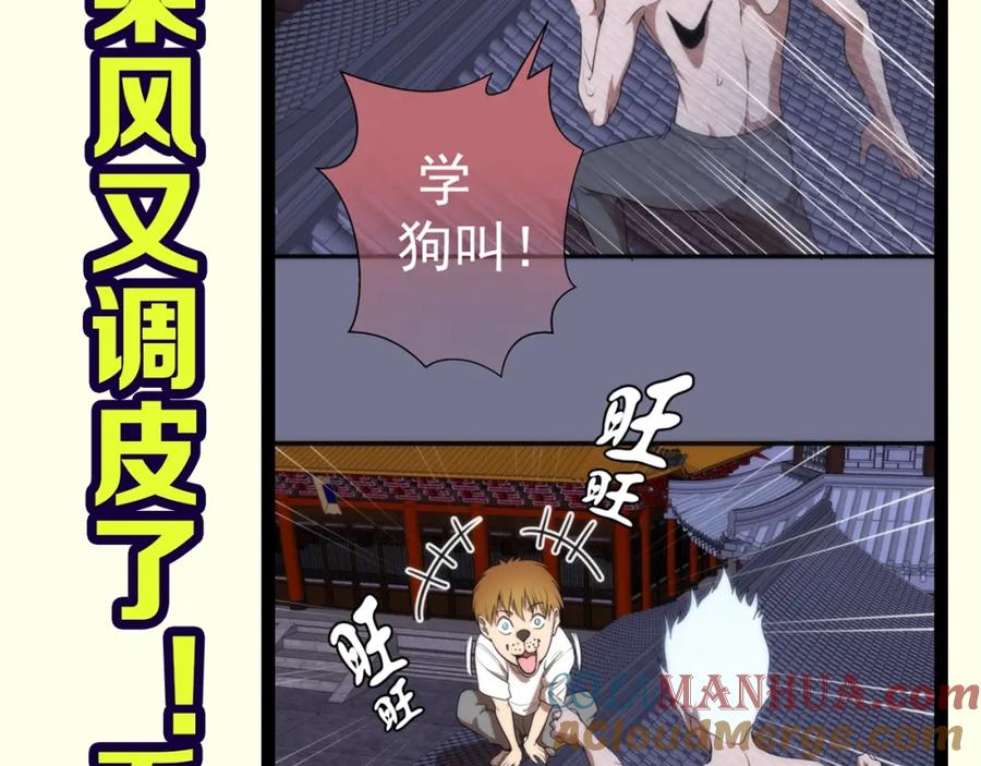 第121页