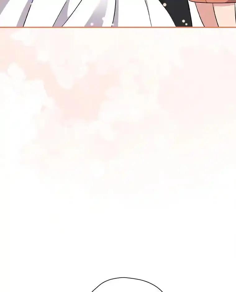 第223页